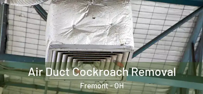  Air Duct Cockroach Removal Fremont - OH