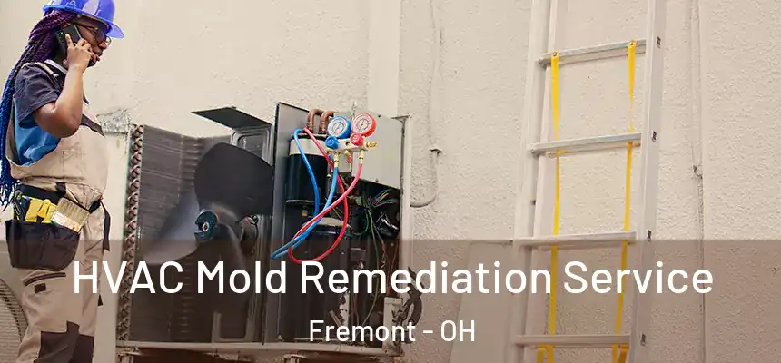  HVAC Mold Remediation Service Fremont - OH