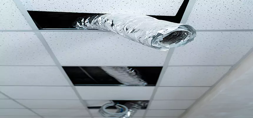 Our Air Duct Pet Hair Removal Services in Fremont, OH