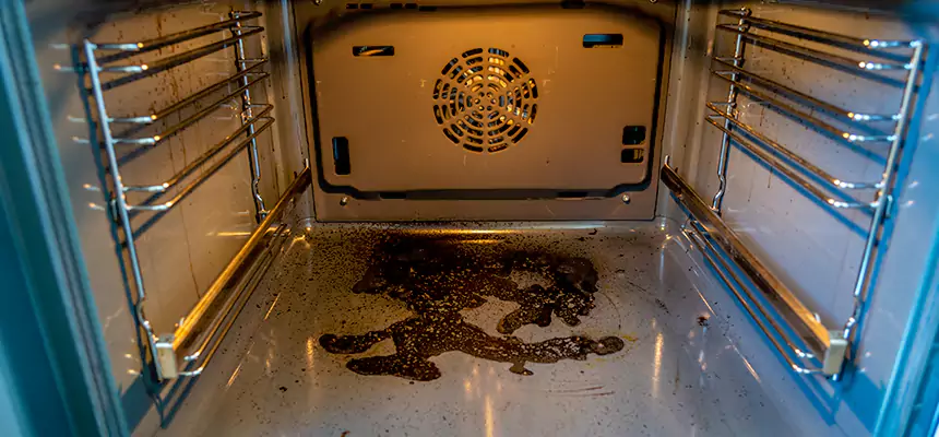 Our Dryer Vent Mold Cleaning Services in Fremont, OH