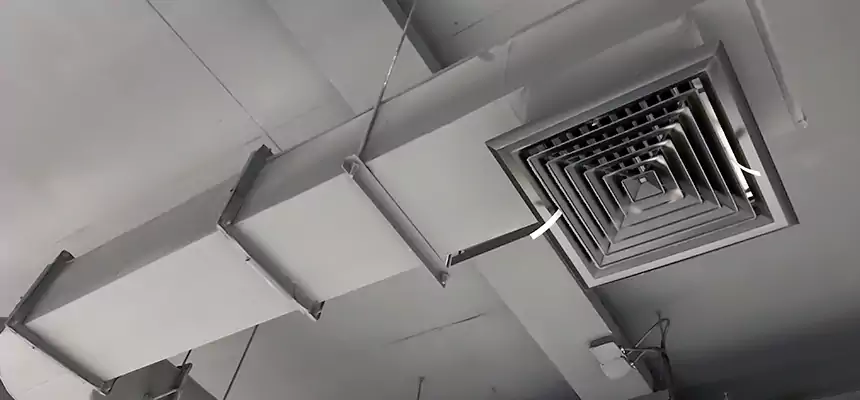 Our Pest Removal From Ducts Services in Fremont, OH