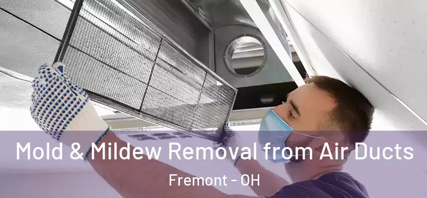  Mold & Mildew Removal from Air Ducts Fremont - OH