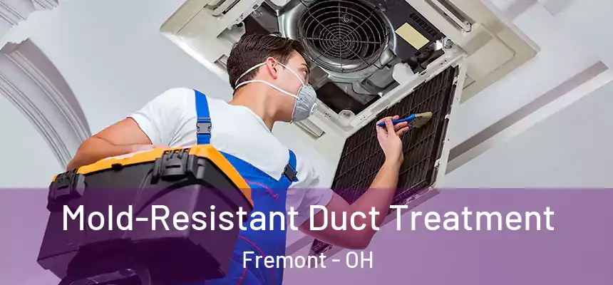  Mold-Resistant Duct Treatment Fremont - OH