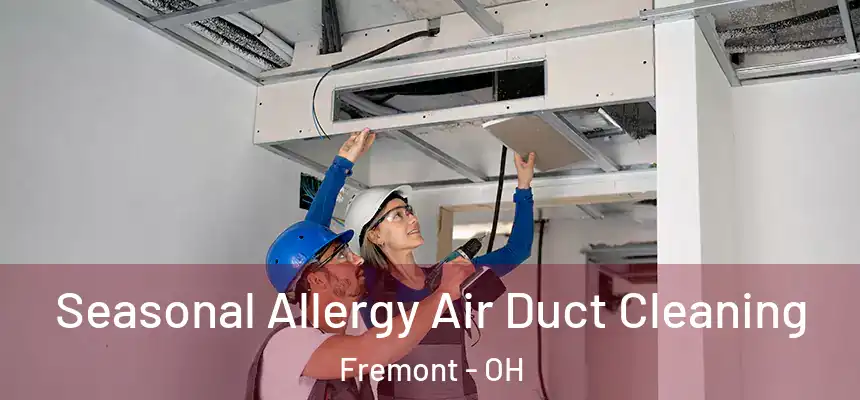  Seasonal Allergy Air Duct Cleaning Fremont - OH