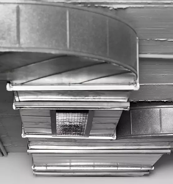 Professional Air Duct Pest Removal in Fremont, OH