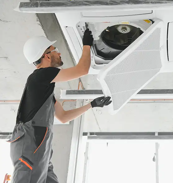 About Air Duct Rodent Removal in Fremont, OH