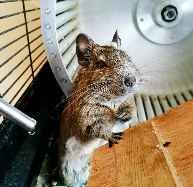 Why Homeowners & Businesses Trust Us Fremont, OH