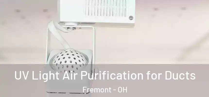  UV Light Air Purification for Ducts Fremont - OH